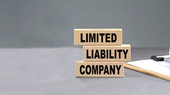 Why Choose an LLP? A Brief Idea of the Benefits and Drawbacks