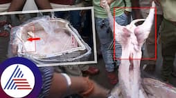 Rajasthan to Bengaluru dog meat supply in train allegations hindu workers raids at yeshwantpur railway station sat