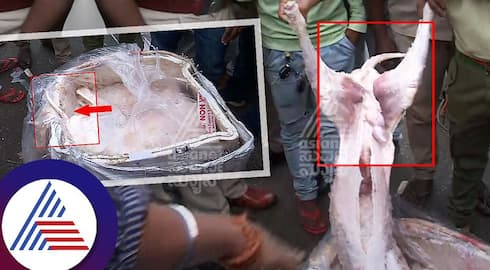 Rajasthan to Bengaluru dog meat supply in train allegations hindu workers raids at yeshwantpur railway station sat