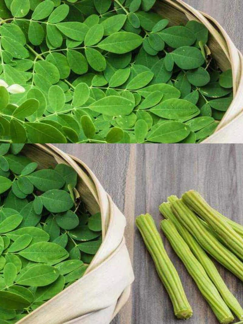 drumstick tree leaves! 6 health benefits dee