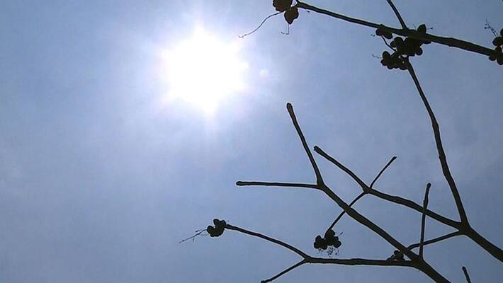 uae temperature uae temperature