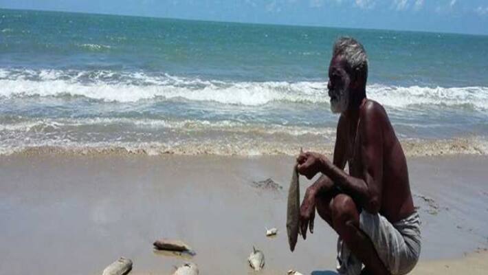 Fishes in Tutkudi sea shore because of chemical factories Fishes in Tutkudi sea shore because of chemical factories