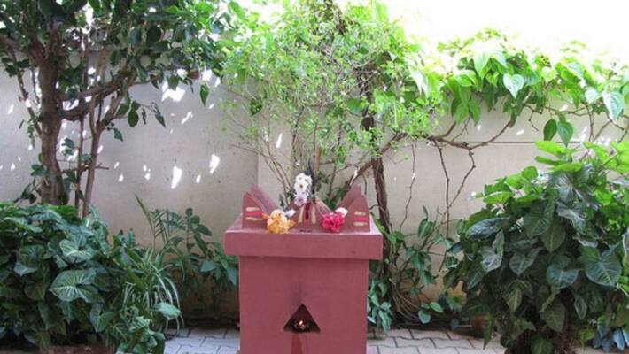 if we build the thulasi chedi no bad vibration will be affect us if we build the thulasi chedi no bad vibration will be affect us