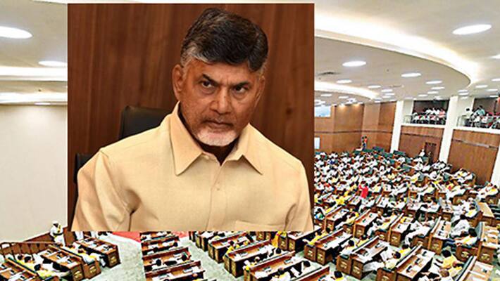 TDP issues whip to MLCs TDP issues whip to MLCs