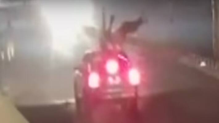Video shows forest officers car running over two cyclists Video shows forest officers car running over two cyclists