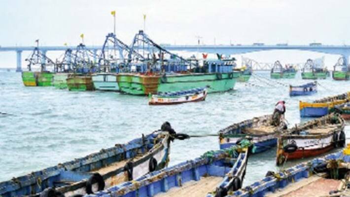 From 14th onwards on the night of Tamil Nadu to ban fishing From 14th onwards on the night of Tamil Nadu to ban fishing