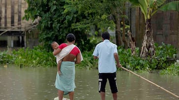 Assam floods: 11 dead; 70% of Kaziranga National Park affected
