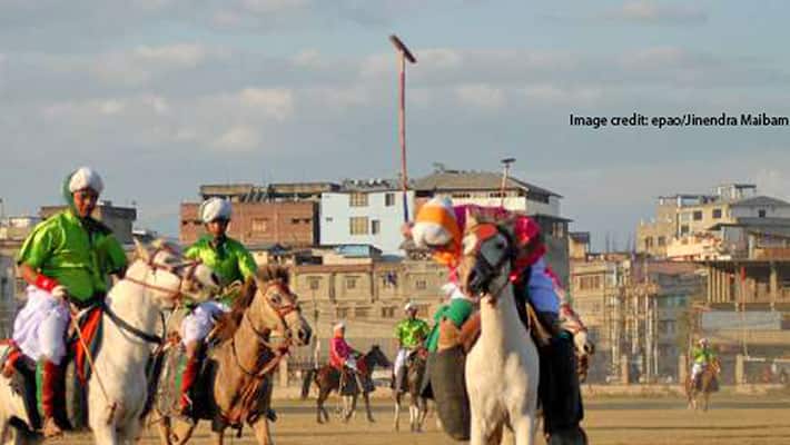 Manipur Saving the Polo Pony Manipur Saving the Polo Pony