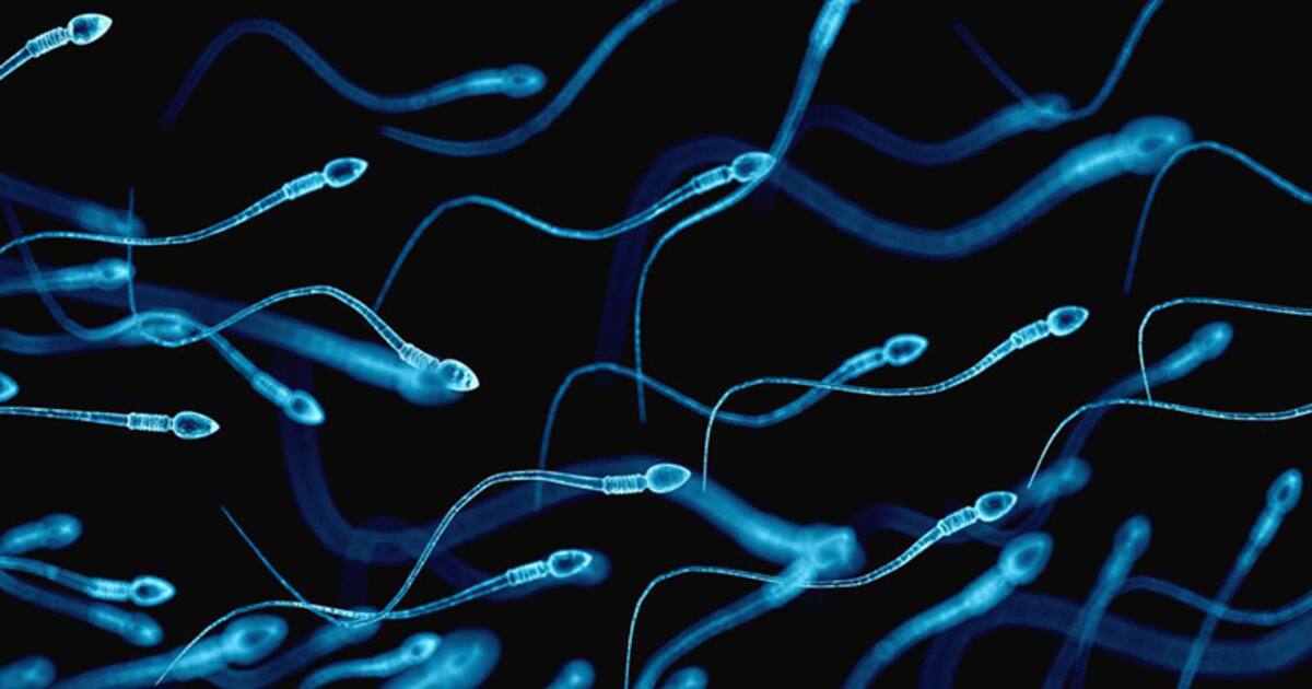 வீரியமான உயிரணுக்களை பெற கண்டதை சாப்பிடாதீங்க! இவைகளை சாப்பிடுங்க போதும். 