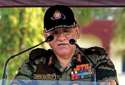 Kashmir Army chief Gen Bipin Rawat surgical strike across border needed cleanse terror