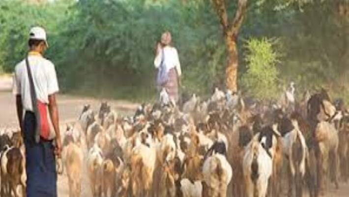 These herbal remedies can be cured by any kind of diseases. These herbal remedies can be cured by any kind of diseases.