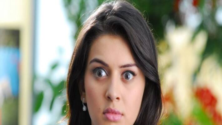 Actress Hansika Motwani Get His Own GIF Reaction First Time in South India Actress Hansika Motwani Get His Own GIF Reaction First Time in South India