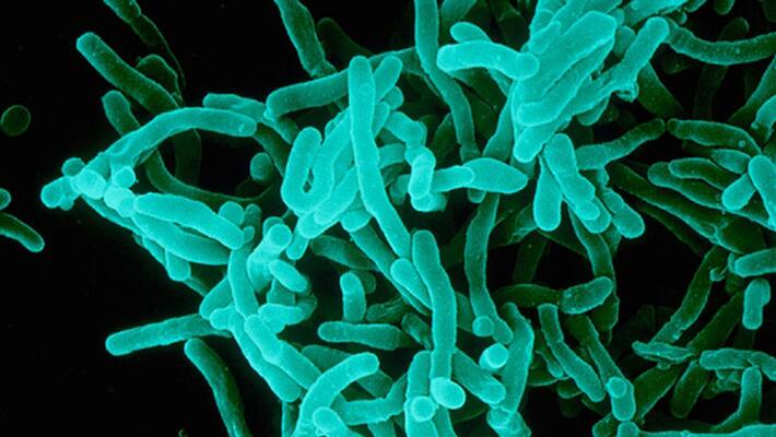 Difteria spreading in Kerala Difteria spreading in Kerala