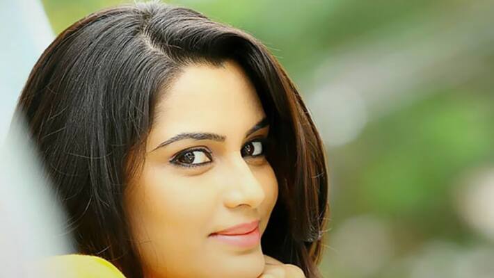 500 years old sandalwood investigation film 500 years old sandalwood investigation film