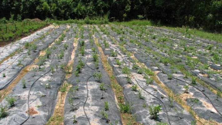 Enough to do this to control the field of agricultural lands ... Enough to do this to control the field of agricultural lands ...