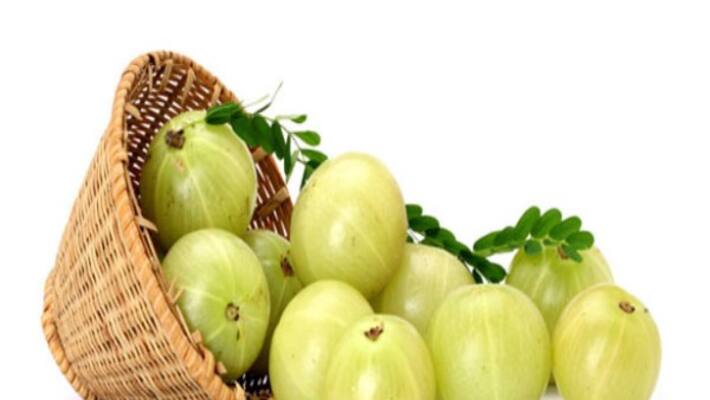 amla is enough to eat the amount of fat in the blood. amla is enough to eat the amount of fat in the blood.