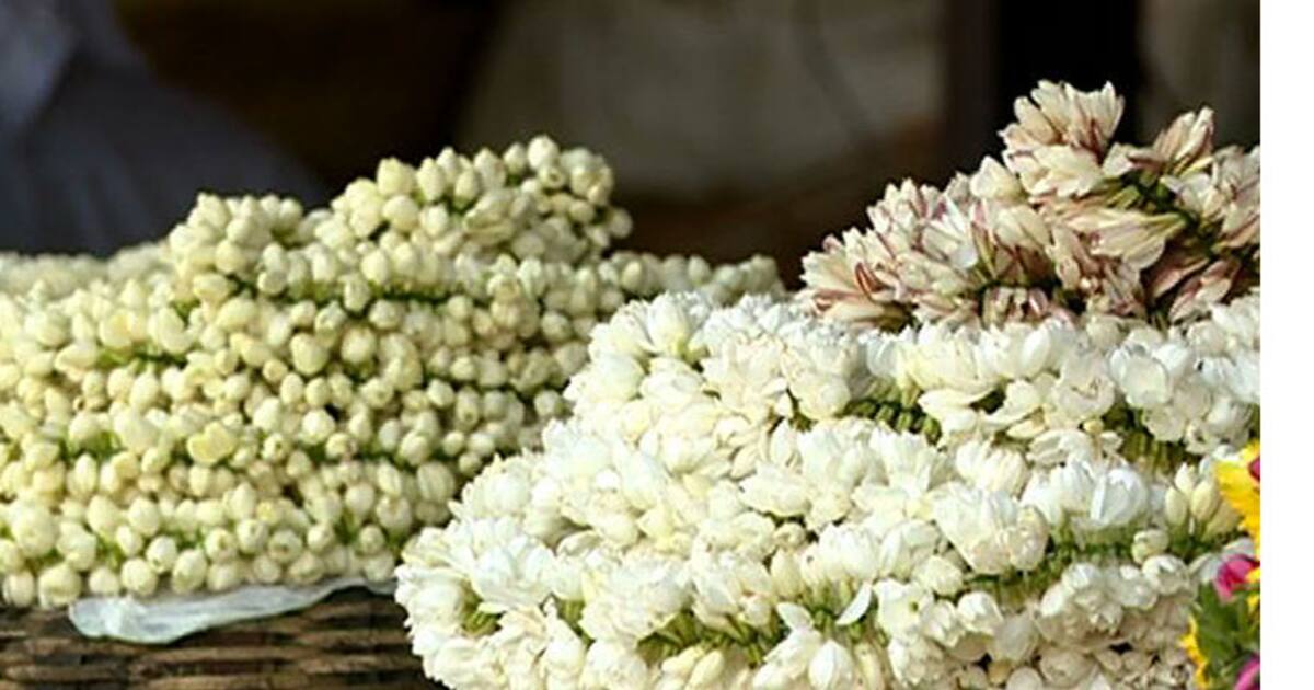 ஆயுத பூஜை கொண்டாட்டம்..! உச்சத்தைத் தொட்ட பூக்களின் விலை- ஒரு கிலோ மல்லிகைப் பூ எவ்வளவு தெரியுமா.?