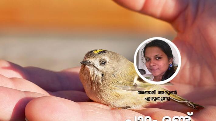 My Teacher Anjaly Arun My Teacher Anjaly Arun