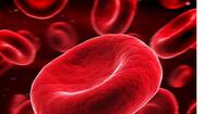These 5 nutrients that can help increase your red blood cell counts