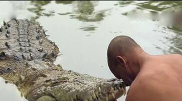Miraculous incident in Ananta Padmanabha Swamy temple, Another crocodile seen in the lake At Kerala Temple - bsb Miraculous incident in Ananta Padmanabha Swamy temple, Another crocodile seen in the lake At Kerala Temple - bsb