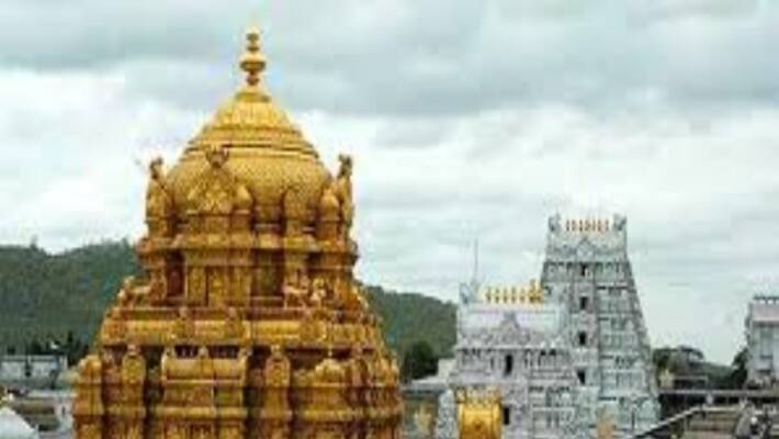Tiruppathy Elumalayan temple hair action get 7 crores Tiruppathy Elumalayan temple hair action get 7 crores