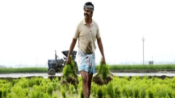 actor karthi turn to agriculture actor karthi turn to agriculture