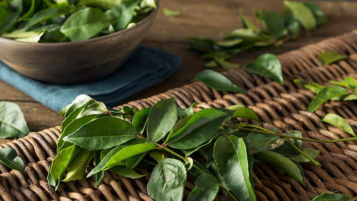 Find out why you should eat curry leaves on an empty stomach