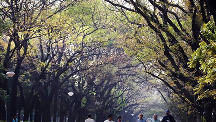 Vehicle Entry May Restrict To Cubbon Park in 4th Saturday Vehicle Entry May Restrict To Cubbon Park in 4th Saturday
