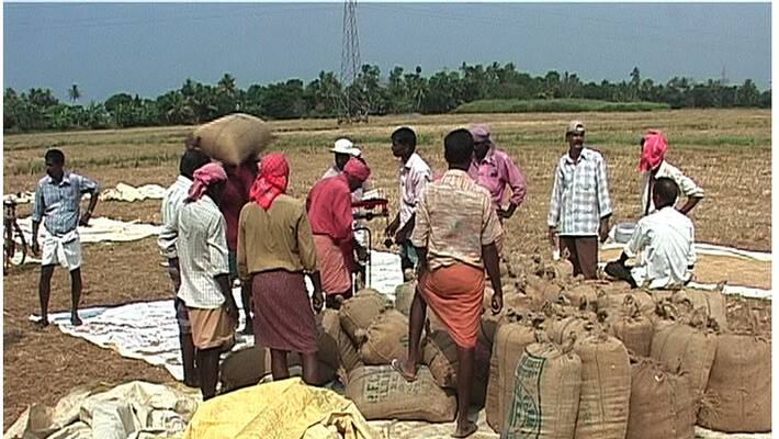 New Insurance project for Paddy Farmers New Insurance project for Paddy Farmers