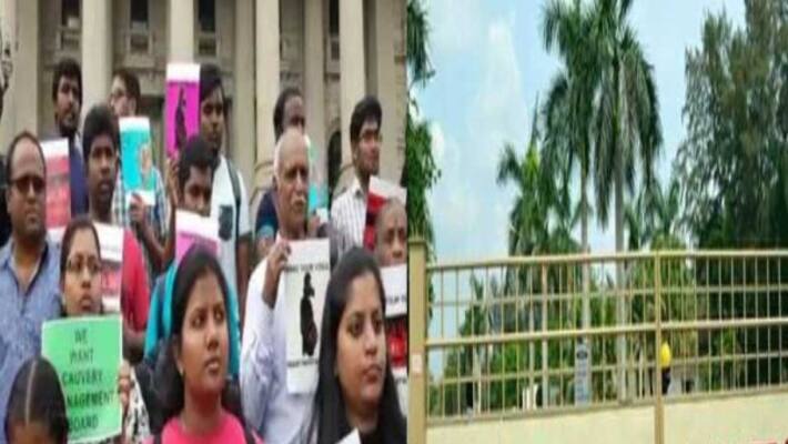 sterlite protest against in austrelia tamil people sterlite protest against in austrelia tamil people