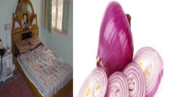 if changed the onion colour withina a aday we can understand bacteria and virus presents if changed the onion colour withina a aday we can understand bacteria and virus presents