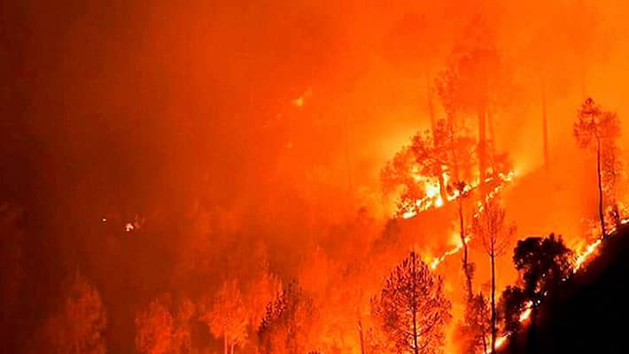 Fresh forest fires in Uttarakhand Fresh forest fires in Uttarakhand