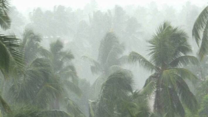 continuous Rain in dindukkal Farmers happy continuous Rain in dindukkal Farmers happy