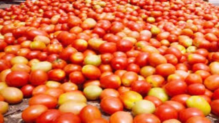 The Tamil Nadu government is planning to sell tomatoes at a lower price at a fair price shop as the price of t The Tamil Nadu government is planning to sell tomatoes at a lower price at a fair price shop as the price of t