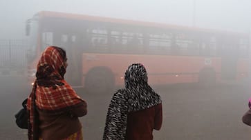 Cold wave continues grip Delhi temperatures drop 3.6 degrees Celsius
