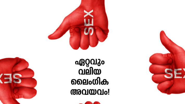 Nazeer Hussain Kizhakedathu column on sexual organs Nazeer Hussain Kizhakedathu column on sexual organs
