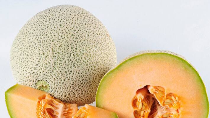 Rock melons released for sale after clearing tests Rock melons released for sale after clearing tests