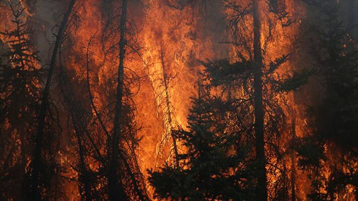 lessons to learn from canada fire disaster lessons to learn from canada fire disaster