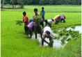 Modi government will grant relief to farmers
