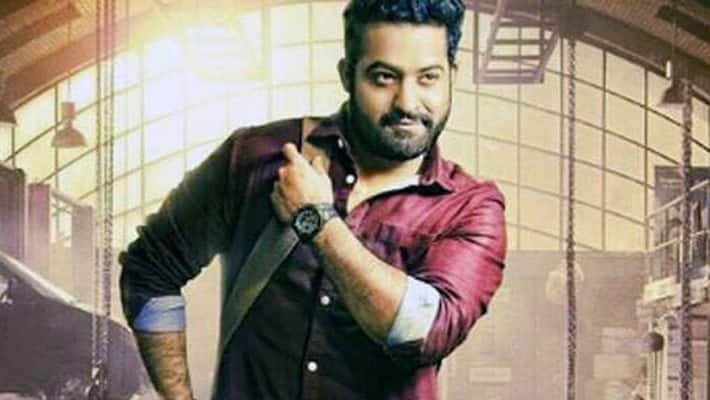 singam director hari wants to do film with ntr singam director hari wants to do film with ntr