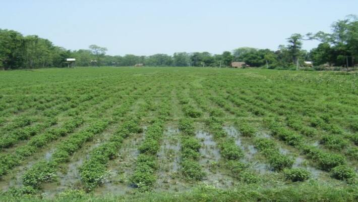 Israel Farming model Best for Face Drought Israel Farming model Best for Face Drought