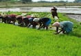 UN backs India’s bumper crop hopes