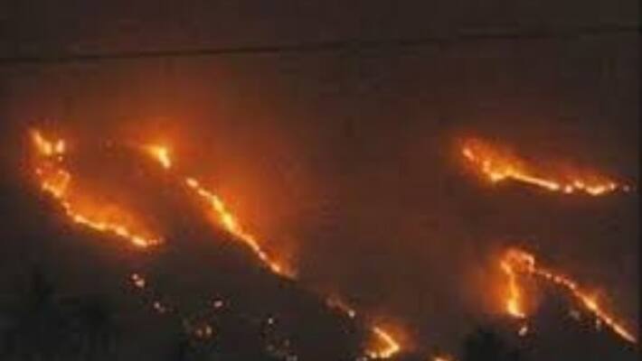 fire in bodi commondo persons serarch and helicopter fire in bodi commondo persons serarch and helicopter