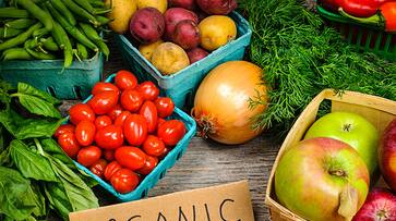 benefits of organic farming