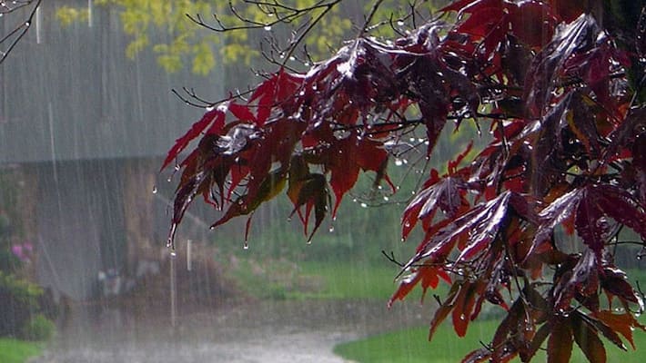 Rains, respite Telangana Rains, respite Telangana