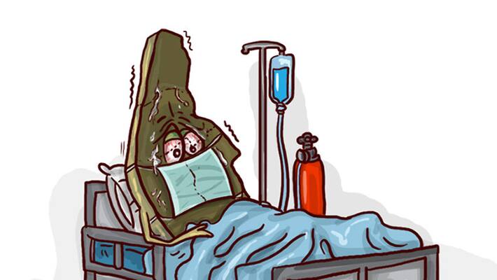 Nipah Alert message by qatar medical department Nipah Alert message by qatar medical department