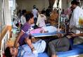 Dengue stings in September rain 236 cases in Delhi