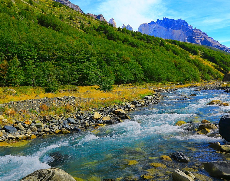 looking for an adventure trip you can visit kalimpong once bjc