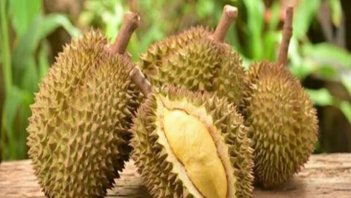 Dianna fruit is an emotion for thyroid problem ... Dianna fruit is an emotion for thyroid problem ...