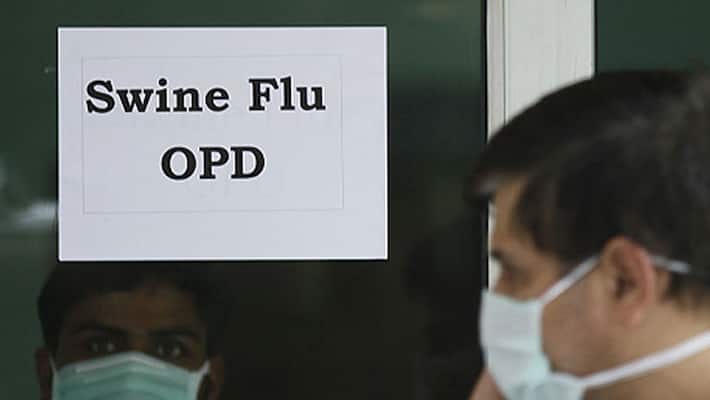 swine flu issues raising in tamilnadu and further necessary step need to take action swine flu issues raising in tamilnadu and further necessary step need to take action